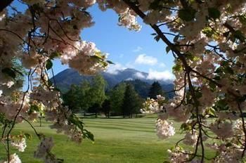 Jack In The Green Garden Rooms Hanmer Springs Exterior foto